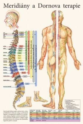 Meridiány a Dornova terapie 32x47cm