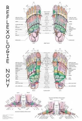 Reflexologie nohy 47x63cm